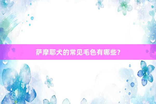 萨摩耶犬的常见毛色有哪些？