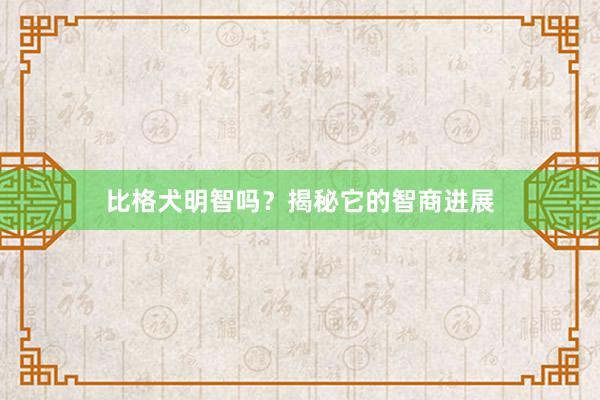 比格犬明智吗？揭秘它的智商进展